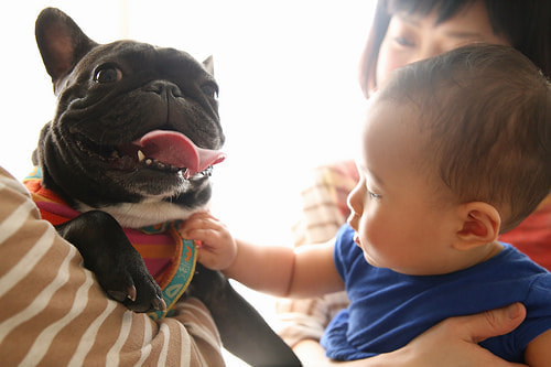 １歳バースデー