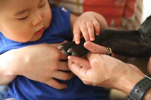 １歳バースデー