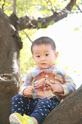 一歳バースデーフォト