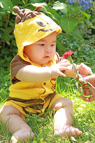 ハーフバースデー