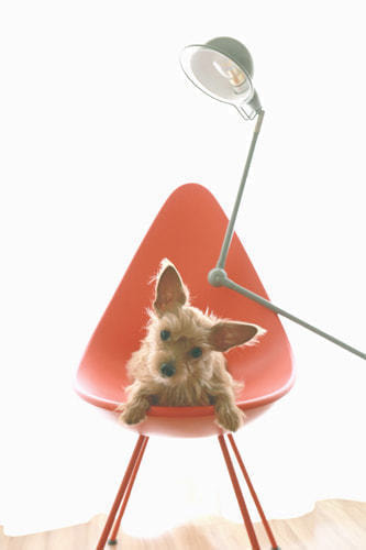 ホームページ、店舗、商品、プロフィール写真