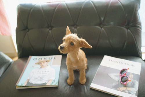 ホームページ、店舗、商品、プロフィール写真