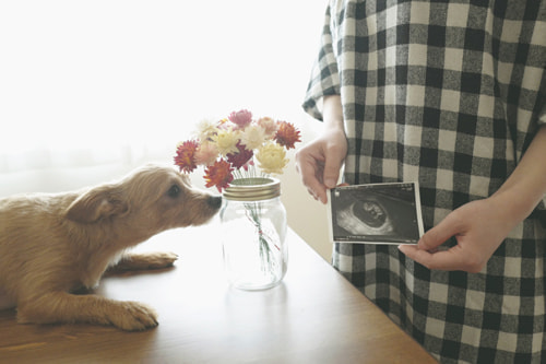 マタニティフォト