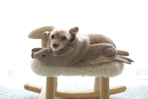 ホームページ、店舗、商品、プロフィール写真