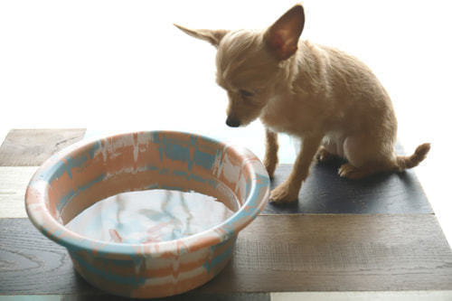 ホームページ、店舗、商品、プロフィール写真