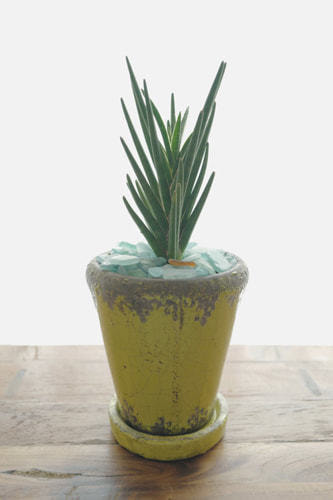 ホームページ、店舗、商品、プロフィール写真