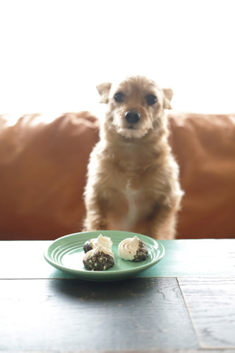 個性的な花とメレンゲ 