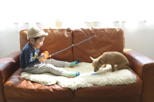 おもちゃの釣竿