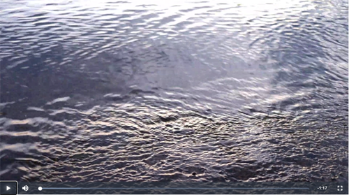 三崎港のサンセット