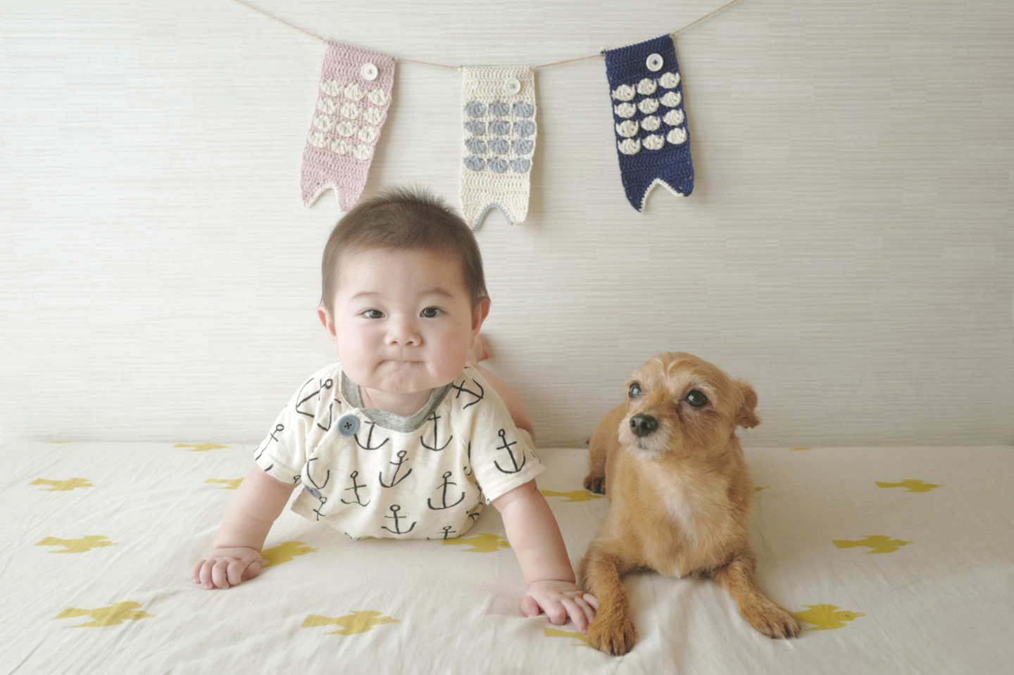 おしゃれ、神社、紅葉、秋、お宮参り、七五三、家族写真、明治神宮、寒川神社