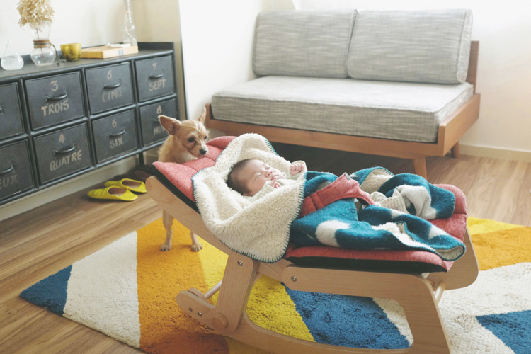 神社 ロケーションフォト、撮影許可、撮影禁止