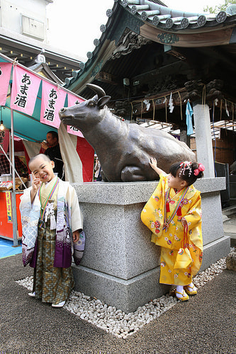 七五三写真 撮影場所 文京区 湯島天満宮21