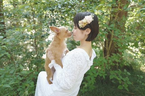 ブライダル(エンゲージメントフォト)写真 撮影場所 森(自宅) 温かい写真