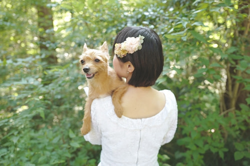 ブライダル(エンゲージメントフォト)写真 撮影場所 森(自宅) 犬、笑う