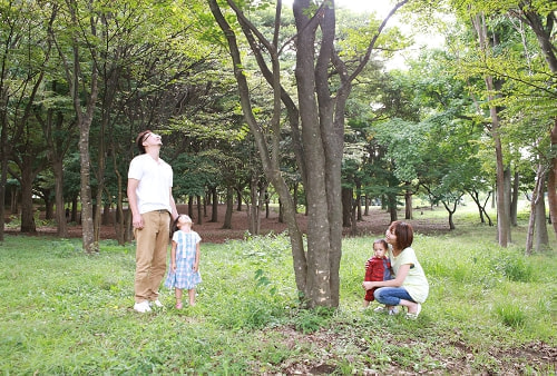 根岸森林公園 家族写真