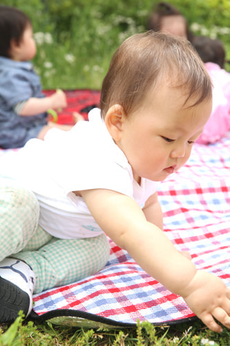 葛西臨海公園 バースデーフォト 夏