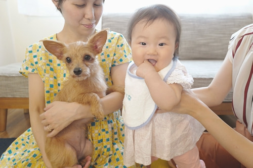 ベビーシャワー