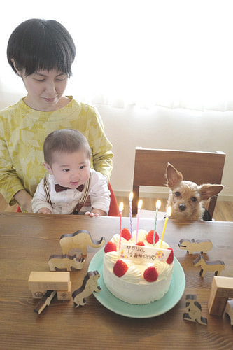 ハーフバースデー