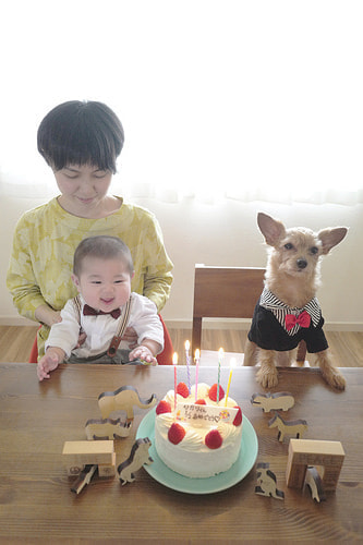 ハーフバースデー