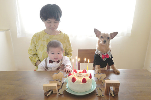 ハーフバースデー