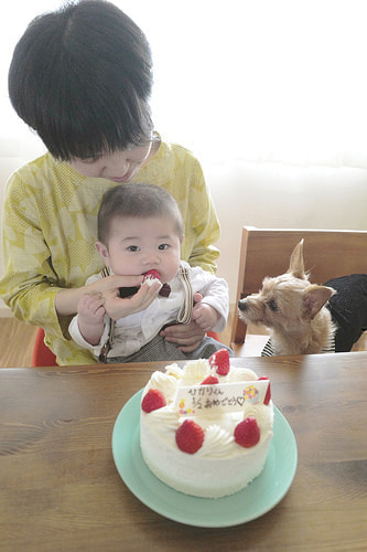 ハーフバースデー