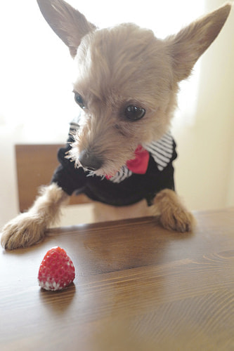 ハーフバースデー