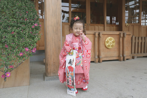 七五三写真 撮影場所 町田市 菅原神社27