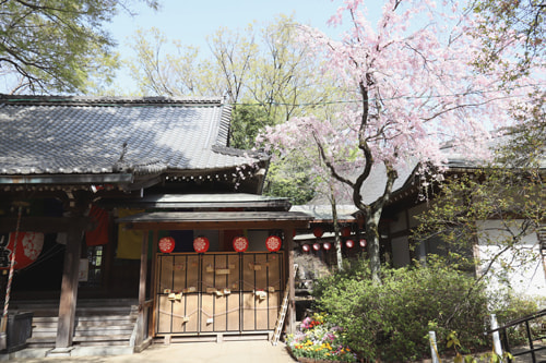 等々力不動尊 お初参り