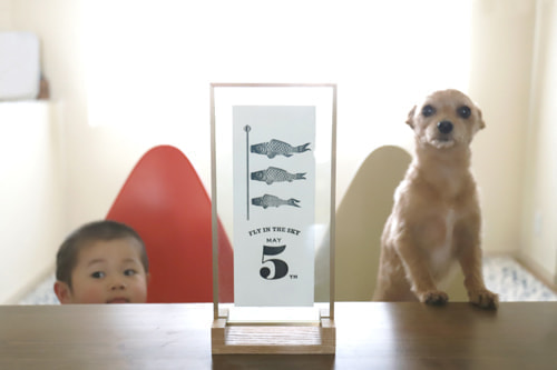 端午の節句写真