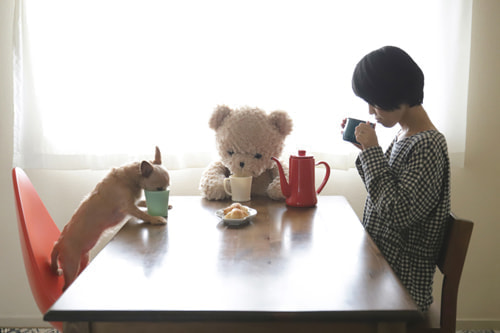 クマのぬいぐるみ