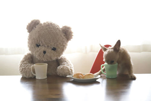 クマのぬいぐるみ４