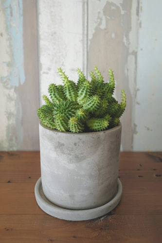 ホームページ、店舗、商品、プロフィール写真