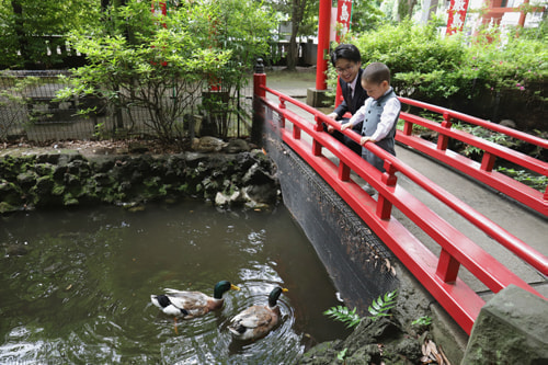 お宮参り写真 撮影場所 世田谷八幡宮