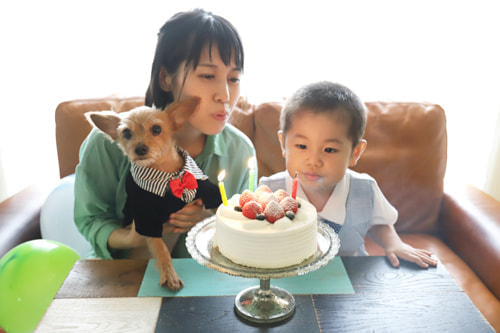 バースデーフォト