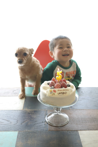 5歳バースデーフォト