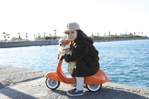 あけましておめでとうございます