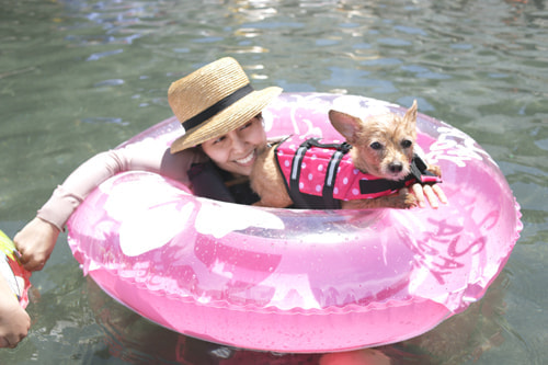 海水浴 横堀海岸