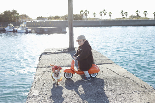 あけましておめでとうございます